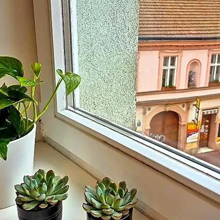 Apartma Beatrice برنو